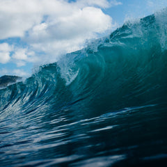 Making Waves in the Regenerative & Sustainable Ocean Economy: Transformative Ocean Investment Opportunities