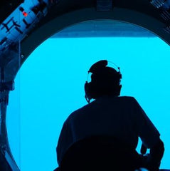 The Ocean Still Holds Mysteries. That’s Why We Must Save It