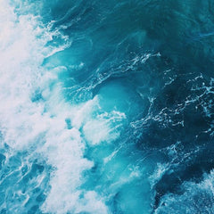 Blue Briefs: What is Investable Oceans?