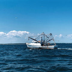 2024: Above Board: Banks' Seafood Sector Policy Analysis