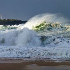 How businesses can navigate climate challenges with adaptation