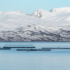 Harnessing the Waters: A Trillion Dollar Investment Opportunity