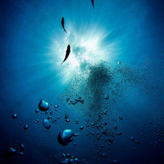 30x30 Ocean Action Plan