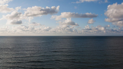 AI model could ‘revolutionise’ marine operational decision-making