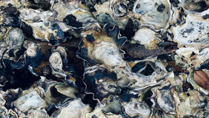 Oyster Shells Are Now High-Fashion Fabric