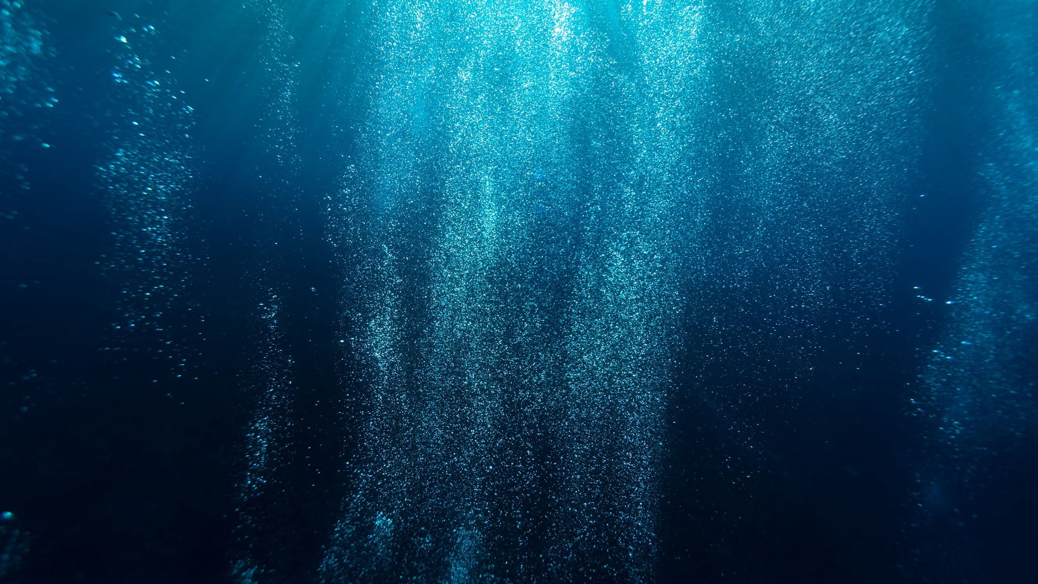 A drop in the ocean: does experimental technology hold the key to saving the world’s seas?