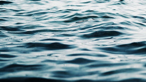 Marine Carbon Dioxide Removal Ecosystem Database