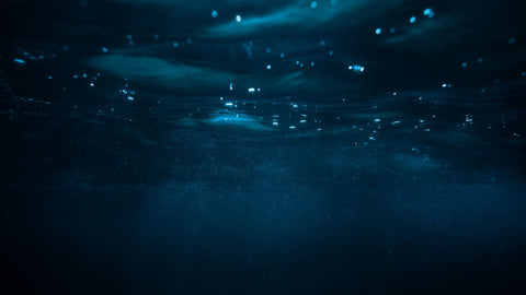 In a World First, Autonomous Robot Glider to Circle the Globe in Historic Ocean Mission